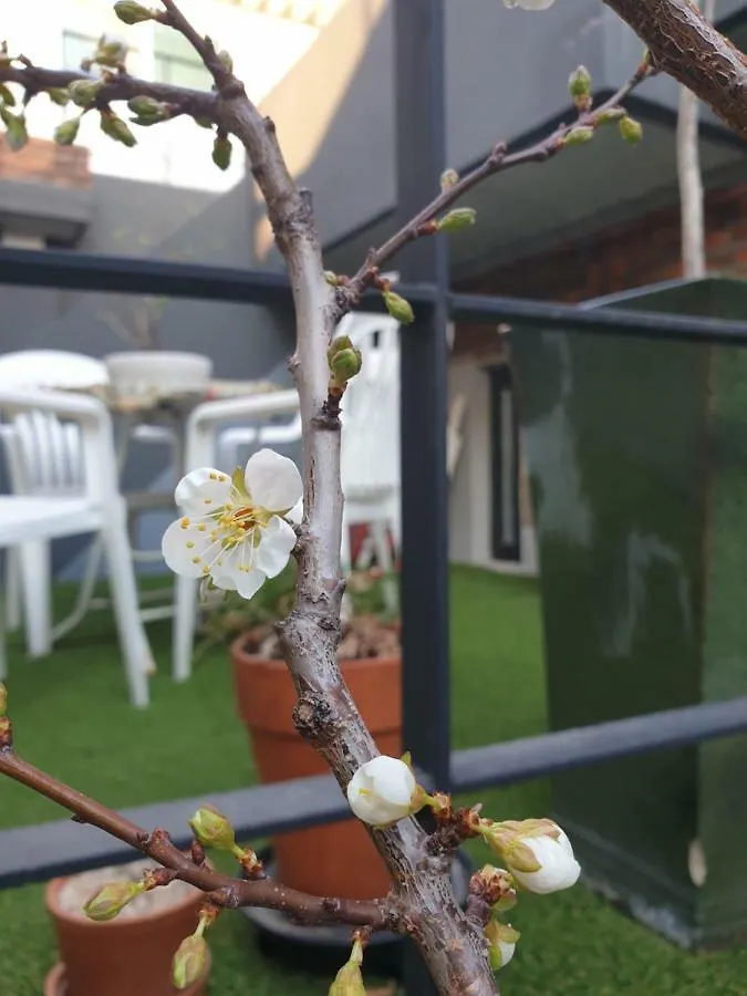 Apartamento Naksan Balcony Seúl 0*,  Corea del Sur